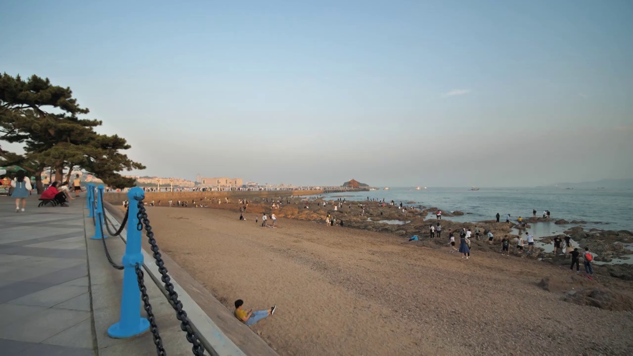 夏日青岛栈桥附近沿海风光旅游视频素材