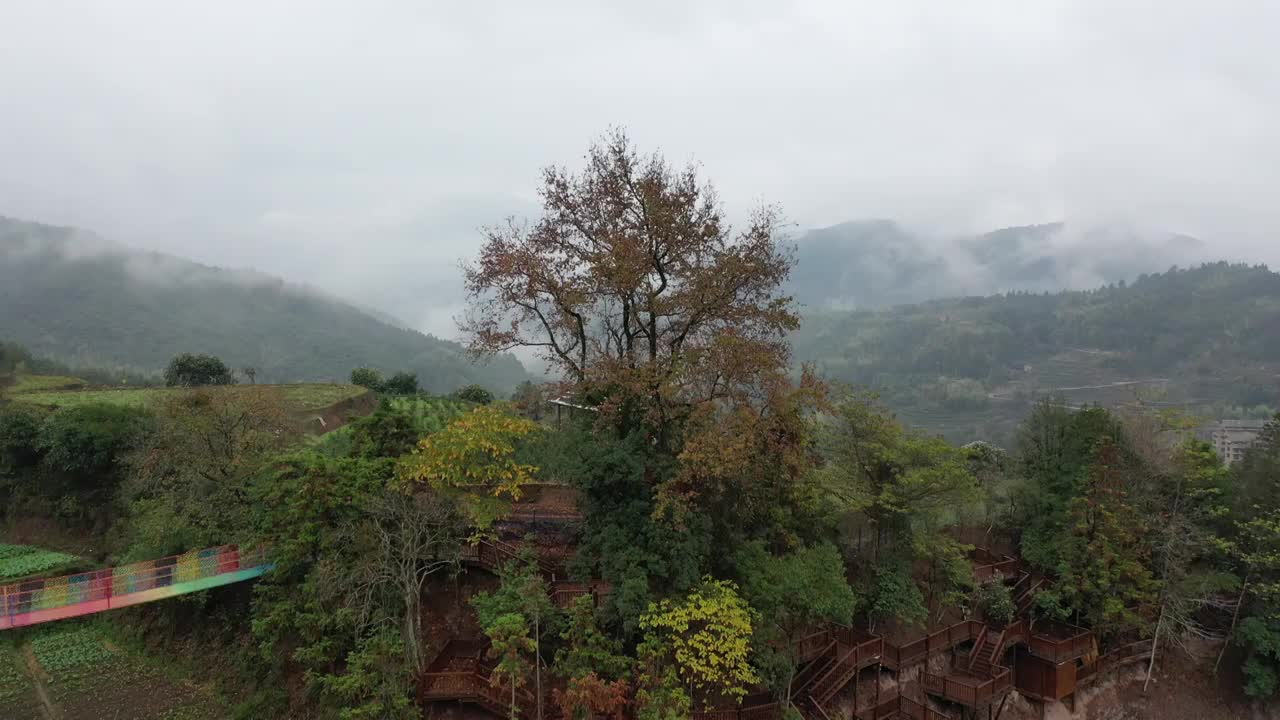 航拍温州市泰顺县筱村公社视频素材