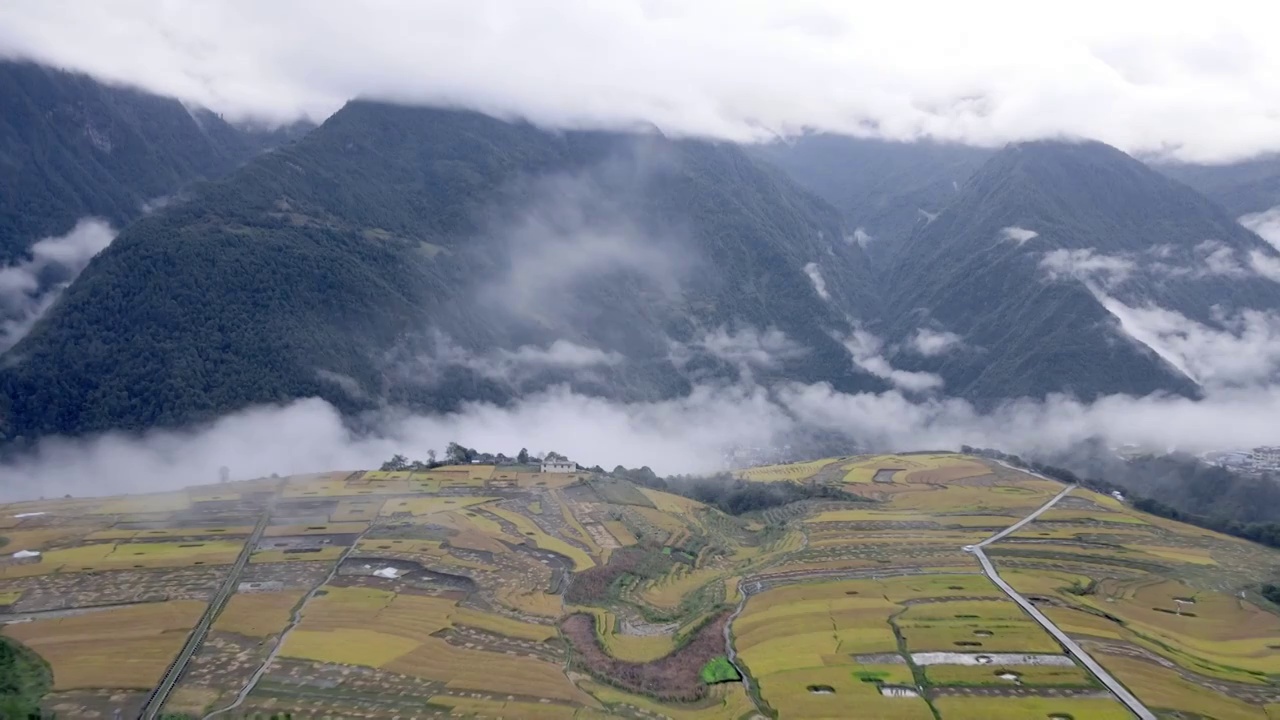 航拍丙中洛清晨稻田居民区村庄穿云视频素材