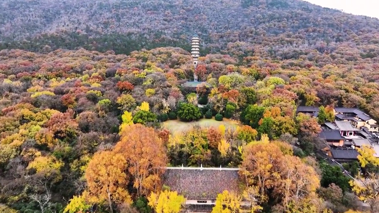 灵谷寺秋色，江苏南京视频素材