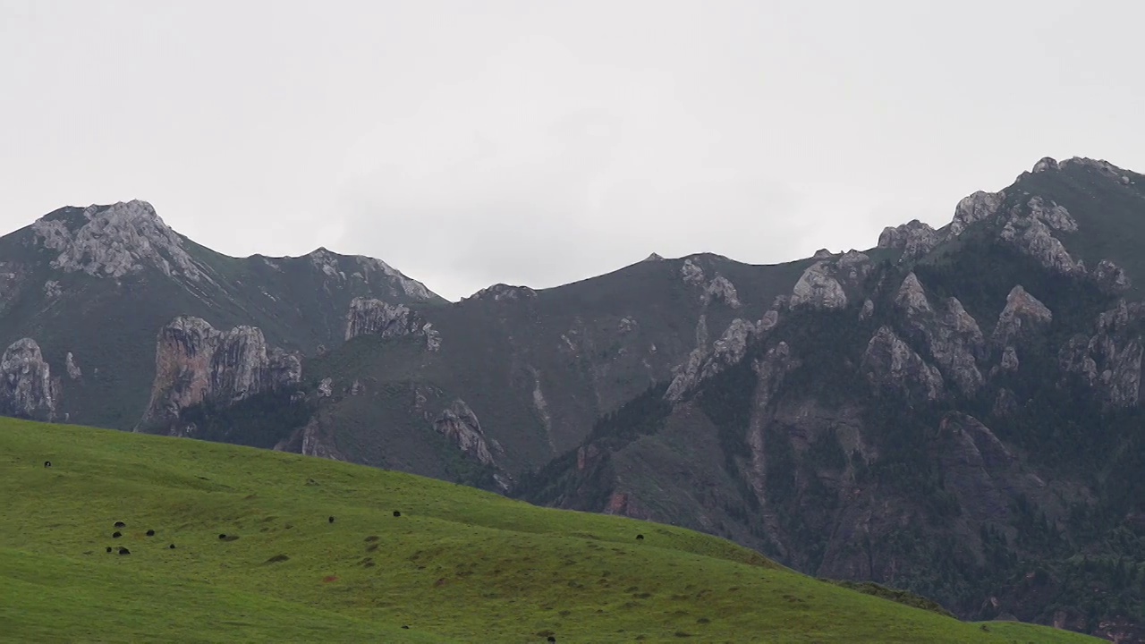 草原山峰牛羊视频素材