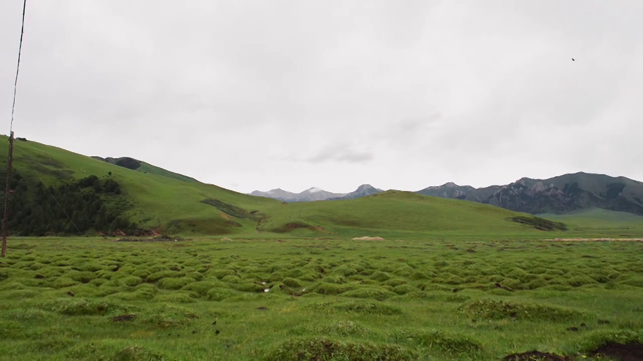 草原山峰牛羊视频素材