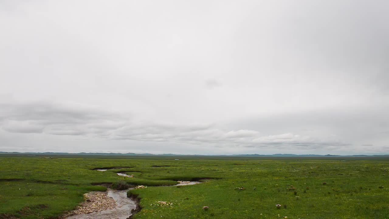 草原山峰牛羊视频素材