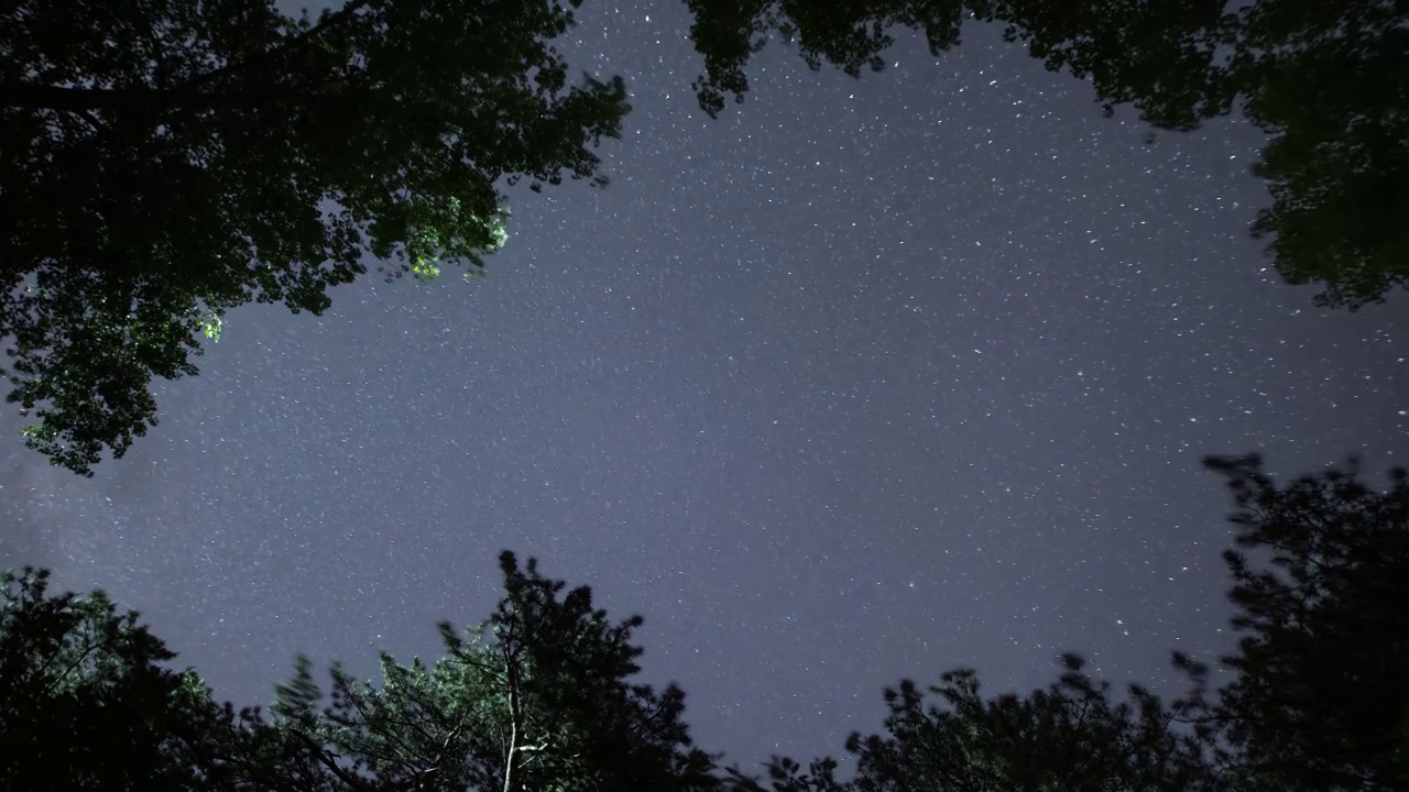 星空延时：树林仰望流动星光视频素材