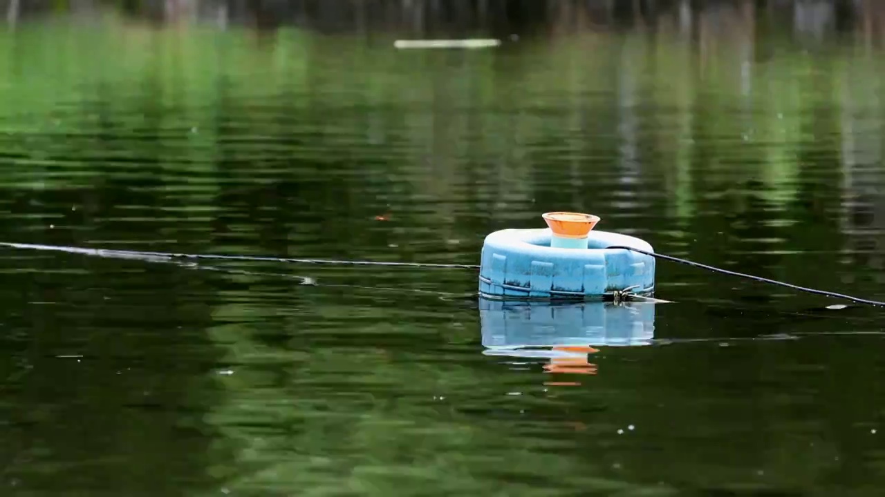 池塘鱼塘蜻蜓绿色水蜻蜓戏水湖水宁静安静视频下载