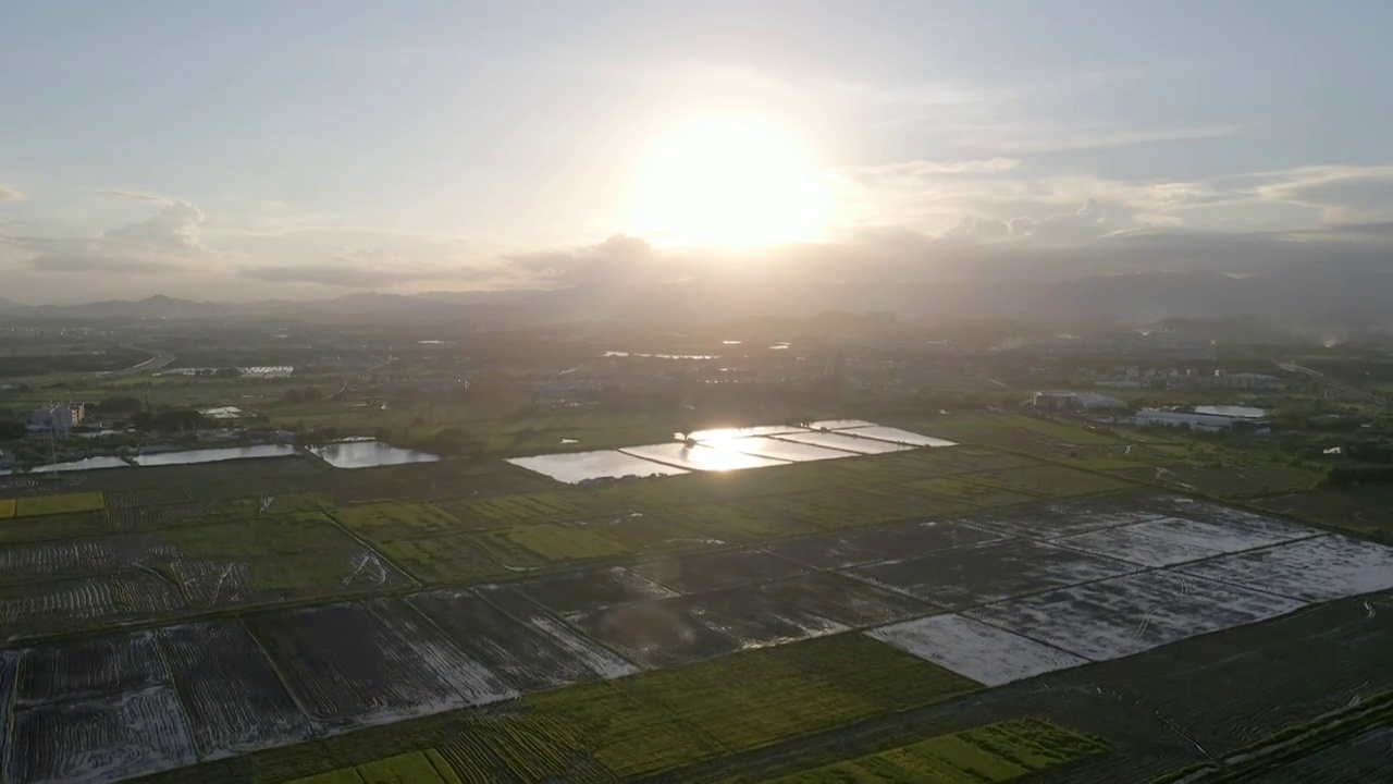 航拍稻田成片田野现代农业农田保护区视频下载