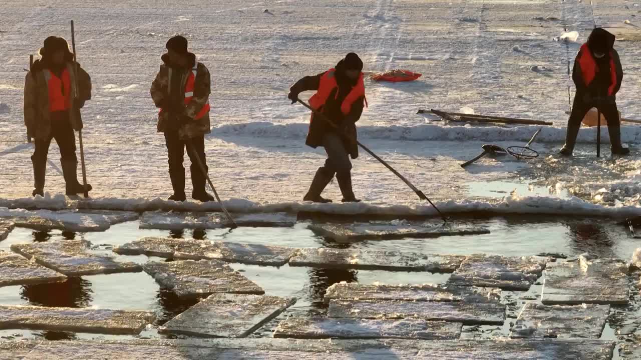 4K哈尔滨冬季松花江采冰冰雪大世界建设（合集）视频素材