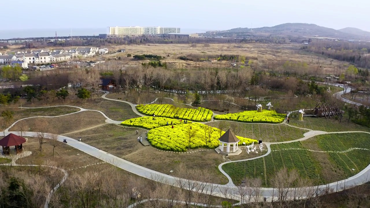 航拍山东省青岛市西海岸新区唐岛湾南岸海滨视频素材