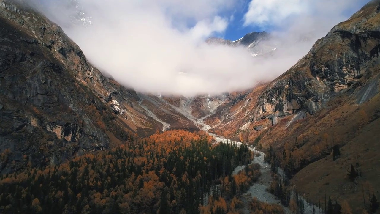 美丽秋天风景四姑娘山双桥沟景区彩林视频素材