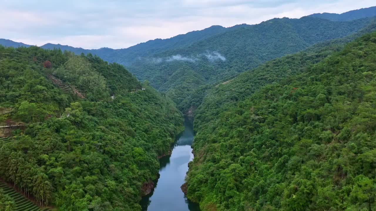 绿水青山山谷森林航拍峡谷雨后森系大自然自然风景风光视频下载