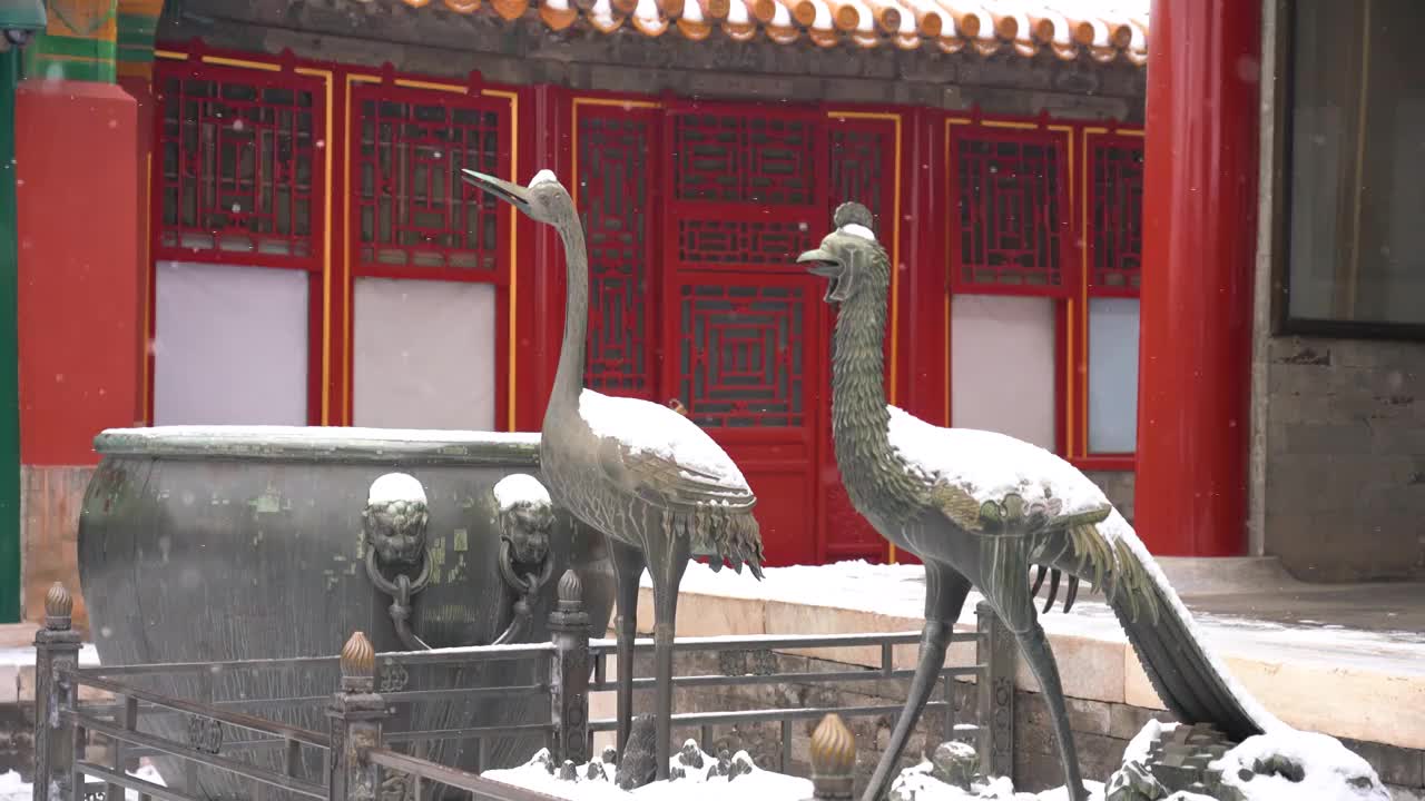 小雪中的故宫翊坤宫和铜凤凰雪景视频素材