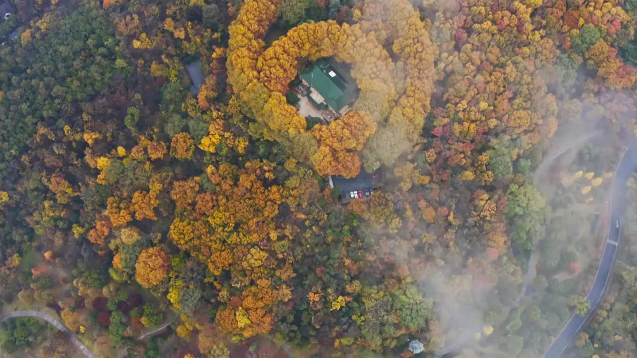 美龄宫的秋天，美龄宫的秋景，航拍视角的美龄宫视频素材