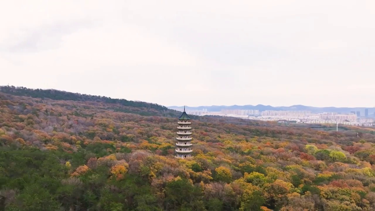 灵谷塔，江苏南京视频素材