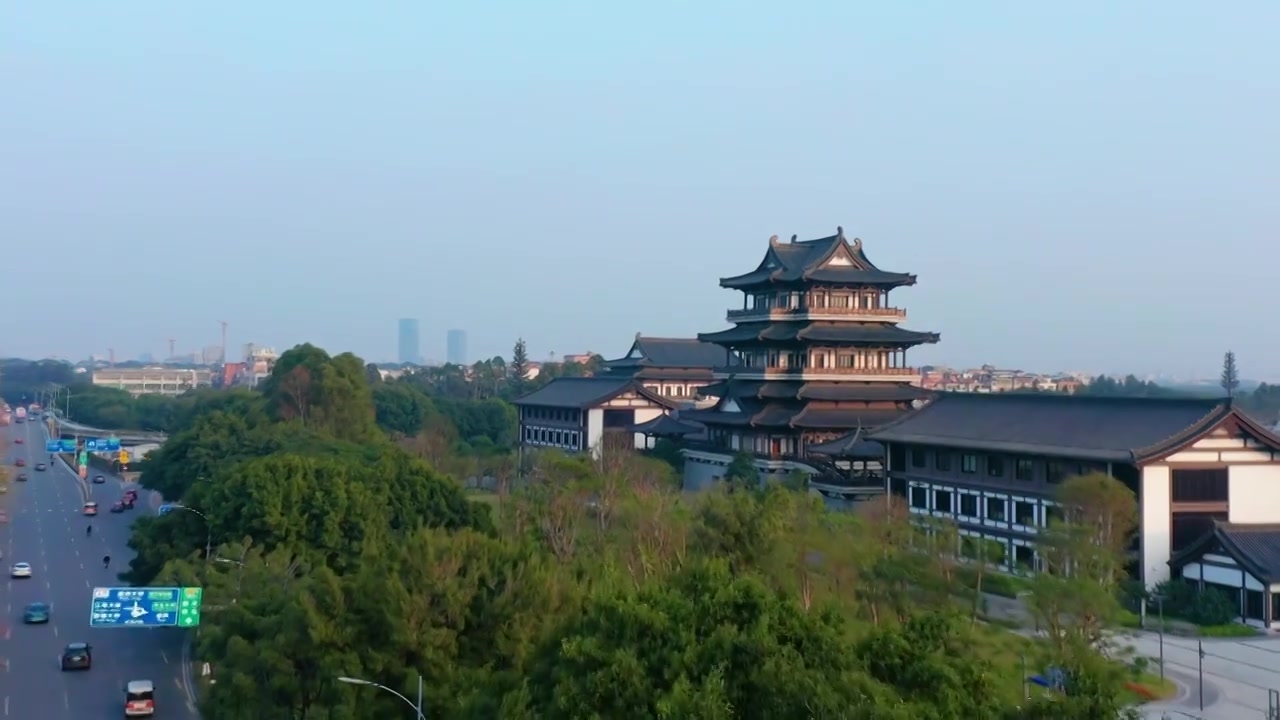 广州海珠大塘异木棉视频素材画面3