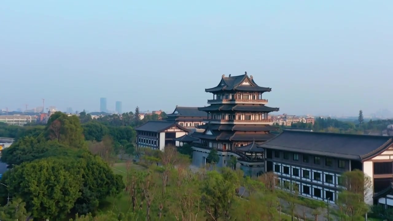 广州海珠大塘异木棉视频素材画面4
