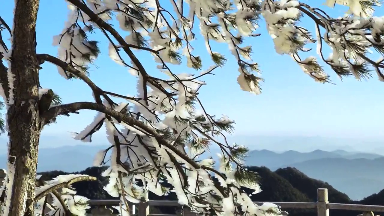 雾凇雪景高山顶冬季风光云雾缭绕松树木冰挂视频素材