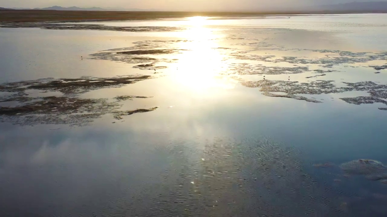 航拍4K ：新疆哈密  巴里坤 高家湖 湖泊 湿地 草原风光视频素材