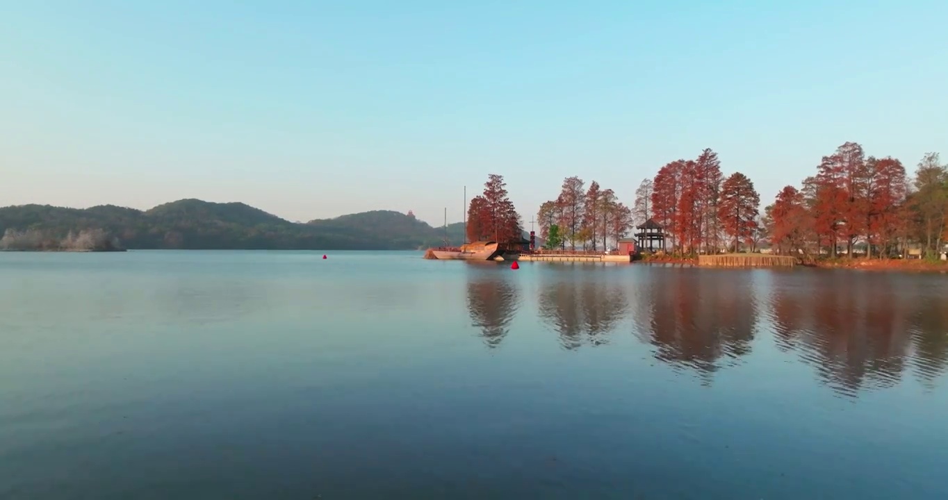 湖北武汉东湖落雁岛风景区秋季风光视频素材