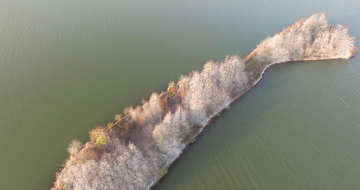 湖北武汉东湖落雁岛风景区秋季风光视频素材