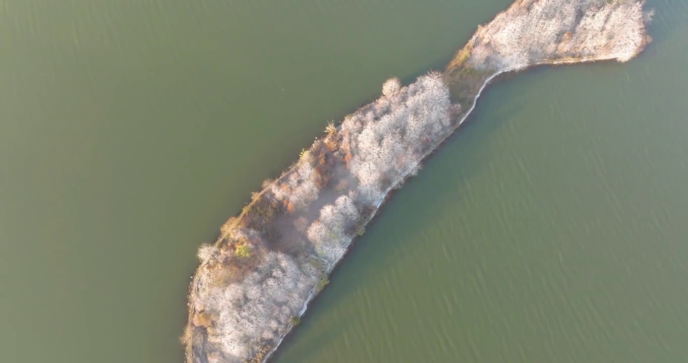 湖北武汉东湖落雁岛风景区秋季风光视频素材