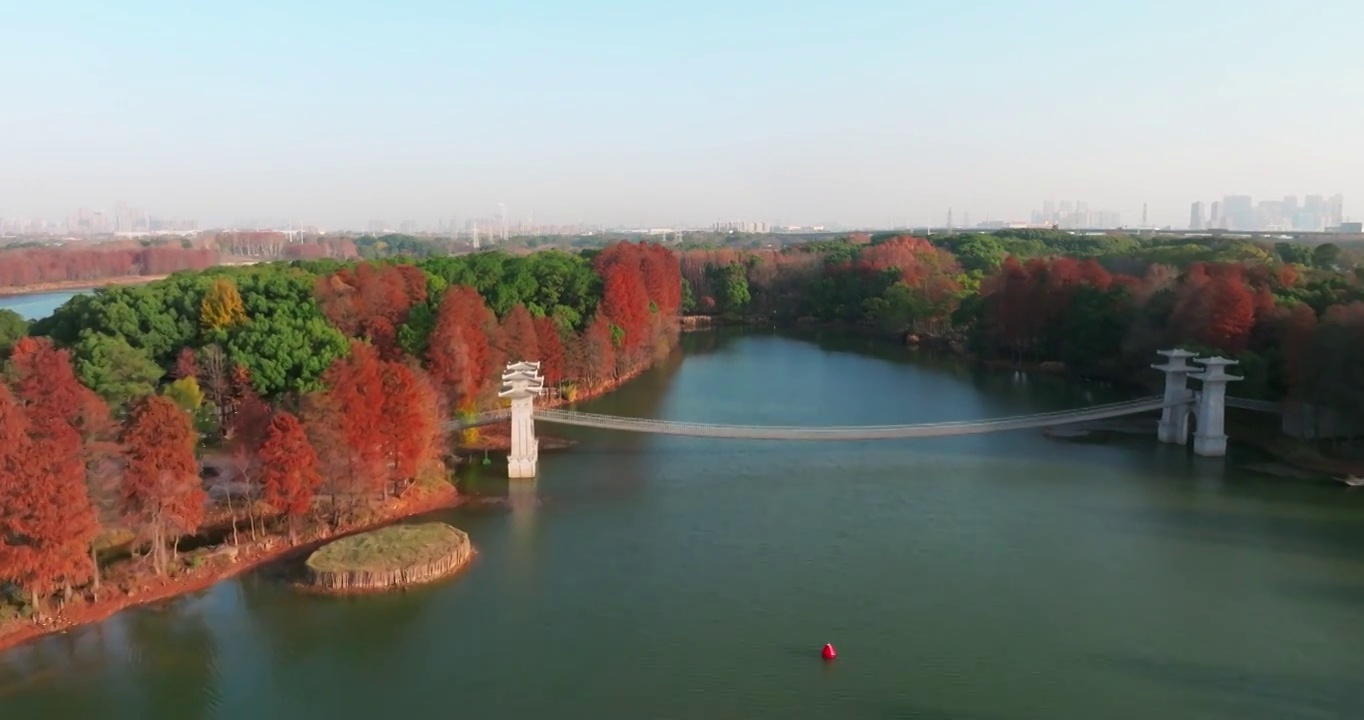 湖北武汉东湖落雁岛风景区秋季风光视频素材