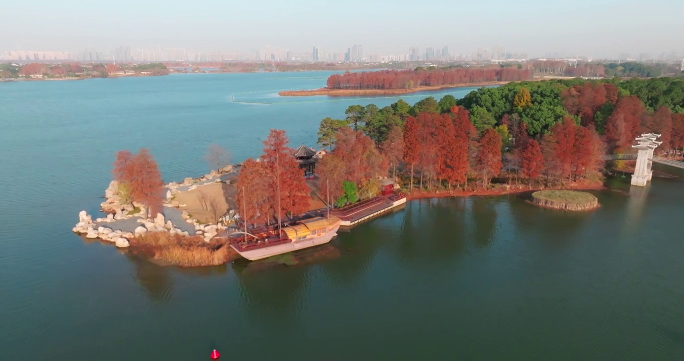 湖北武汉东湖落雁岛风景区秋季风光视频素材