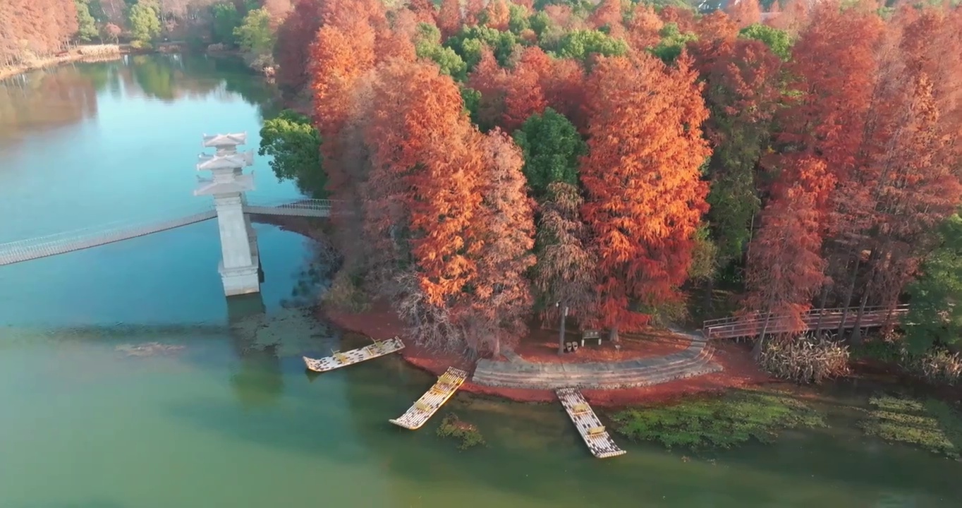 湖北武汉东湖落雁岛风景区秋季风光视频素材