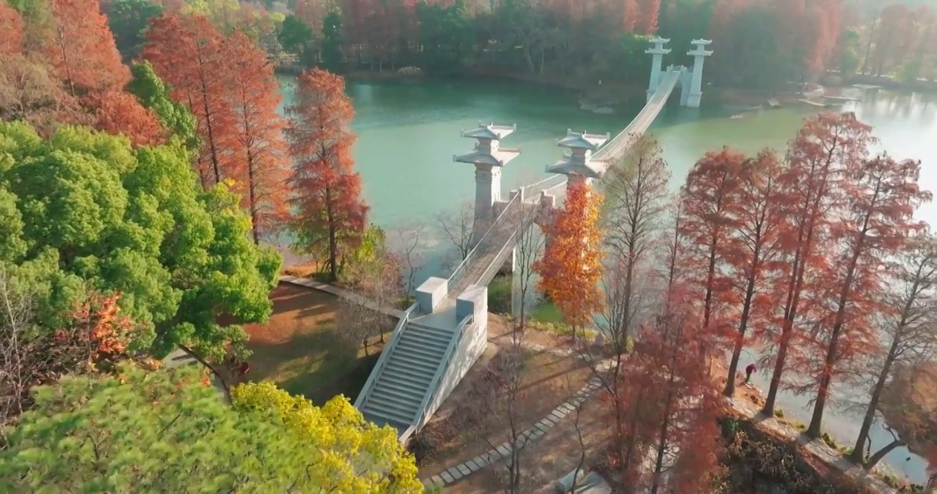 湖北武汉东湖落雁岛风景区秋季风光视频素材