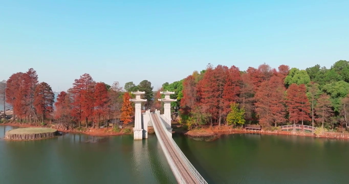 湖北武汉东湖落雁岛风景区秋季风光视频素材