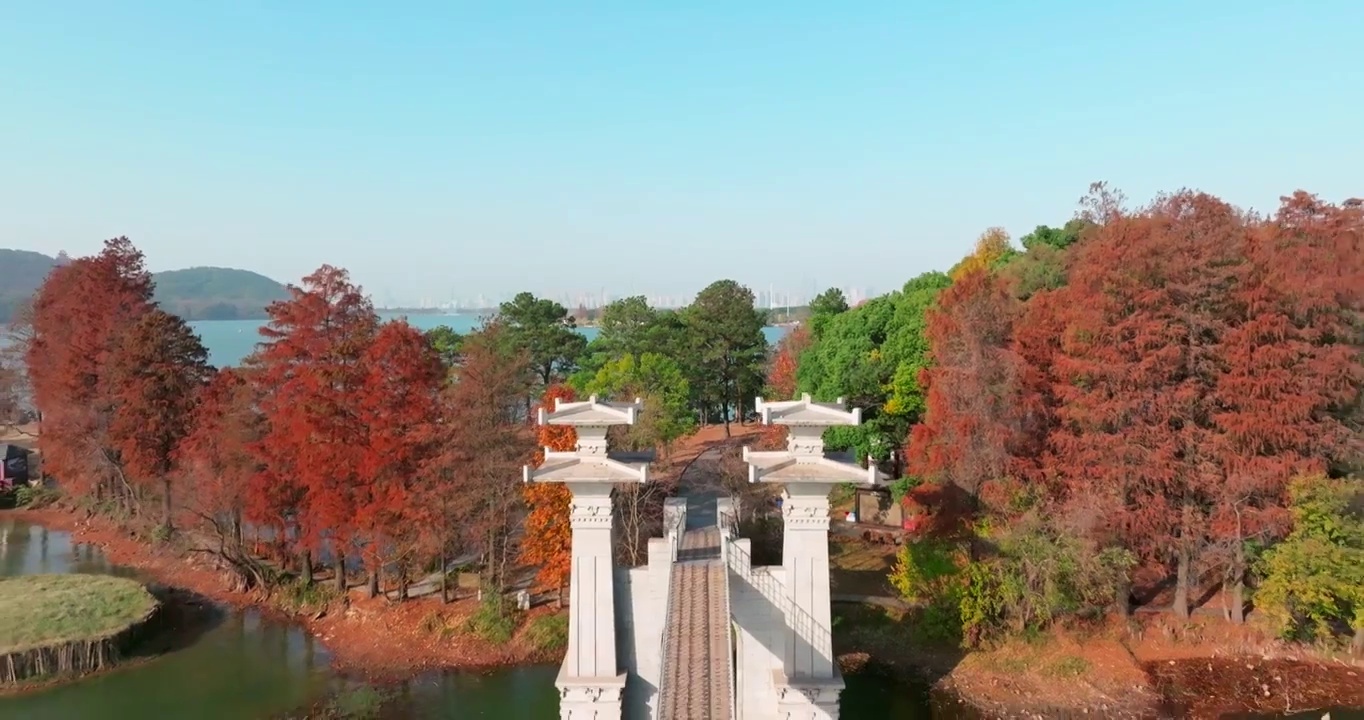 湖北武汉东湖落雁岛风景区秋季风光视频素材