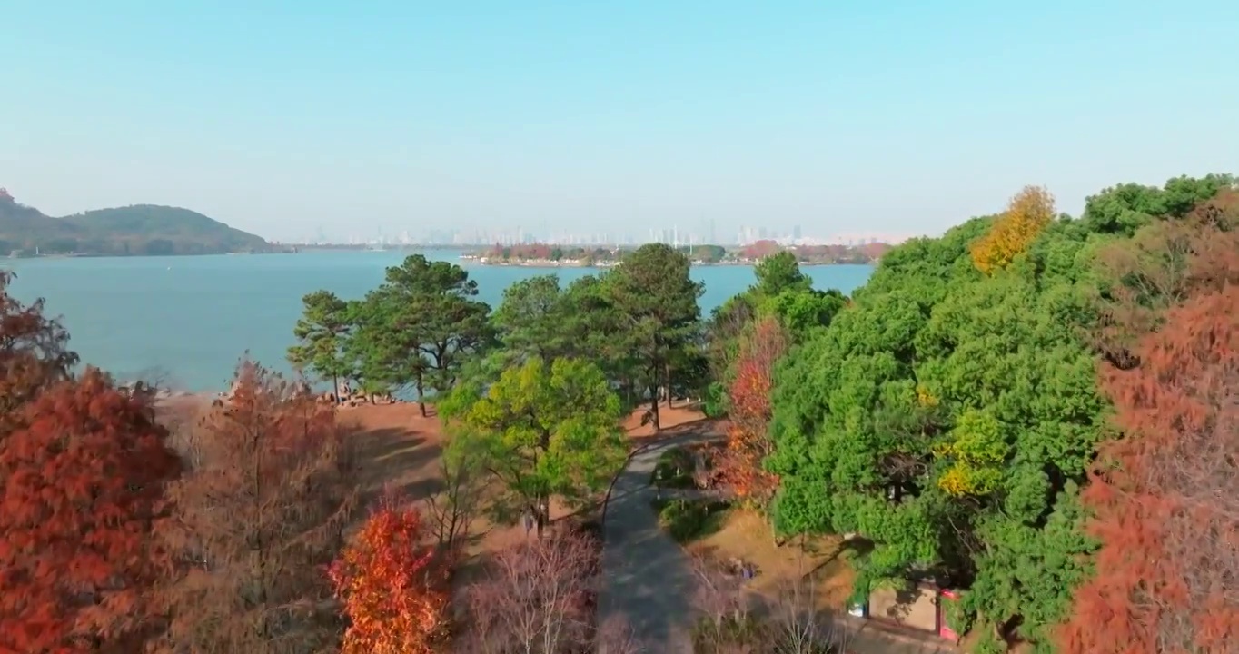 湖北武汉东湖落雁岛风景区秋季风光视频素材