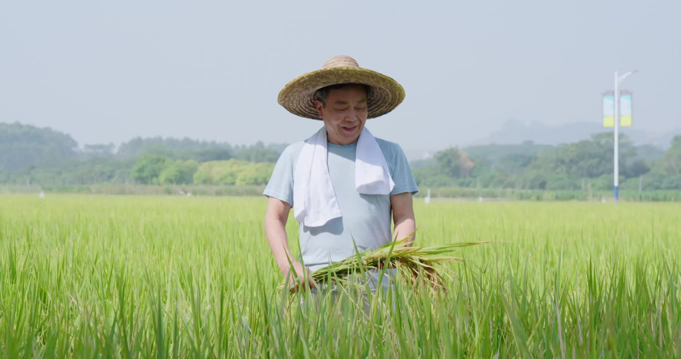 丰收的喜悦视频素材