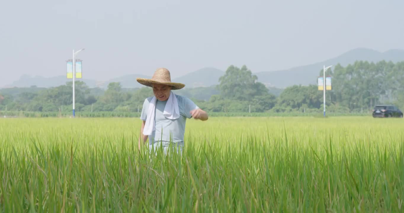 戴草帽的农民视频素材