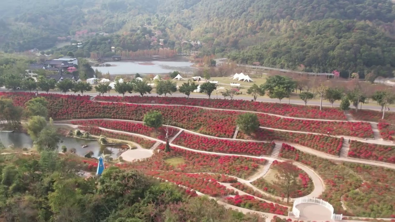 青秀山露营基地视频素材