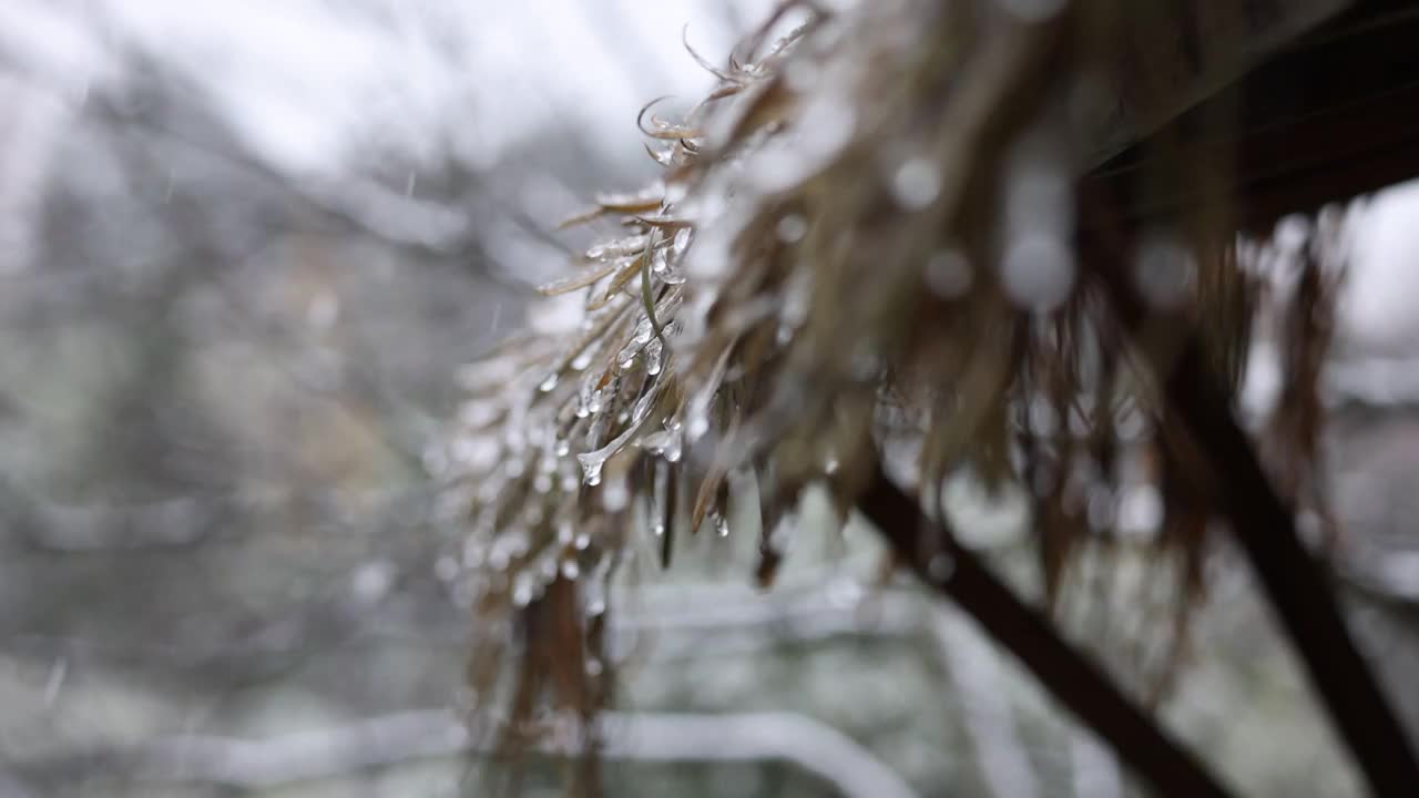 茅草棚上的雪视频素材