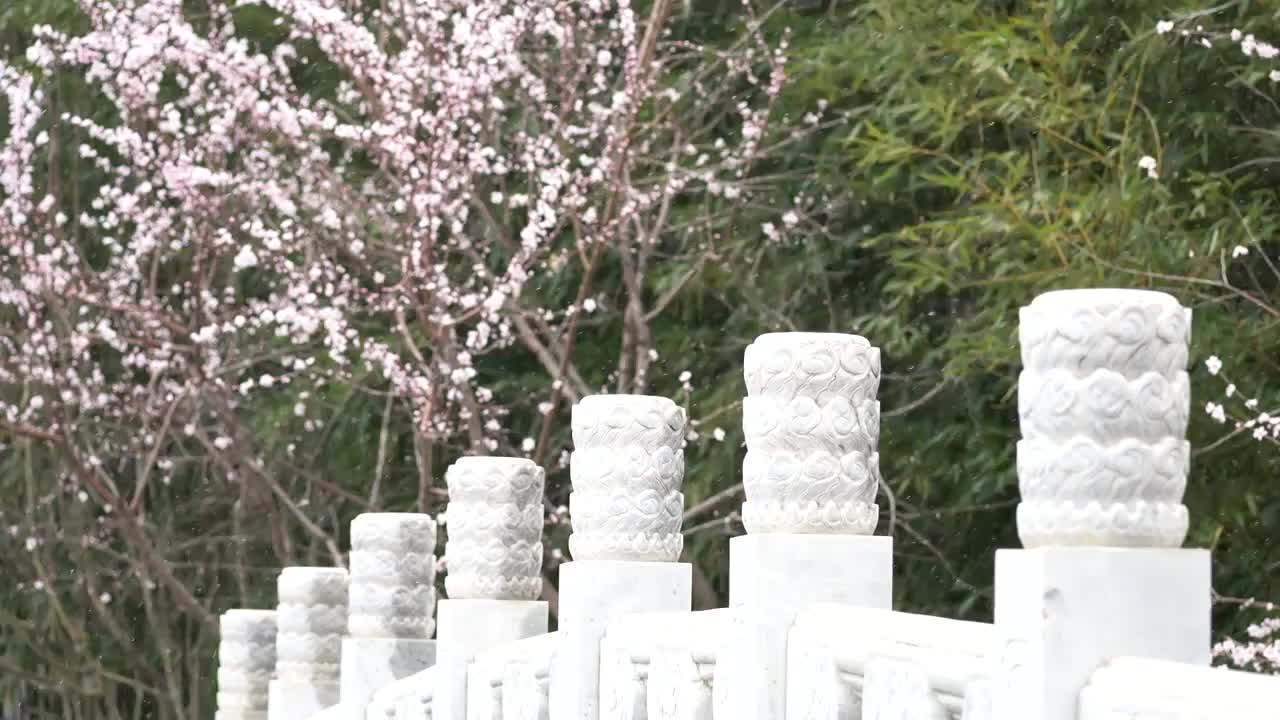 中国园林博物馆春雪视频素材