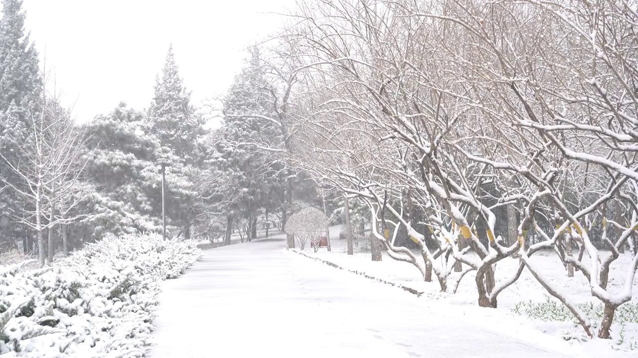 长辛店二七纪念馆雪景视频素材