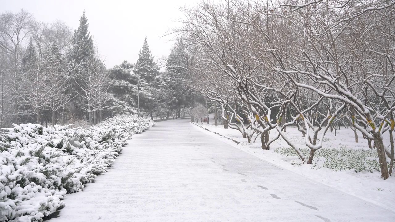 长辛店二七纪念馆雪景视频素材