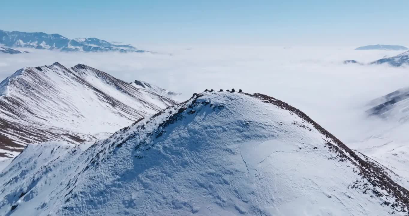 航拍夹金山冬季雪山风景冰天雪地视频素材