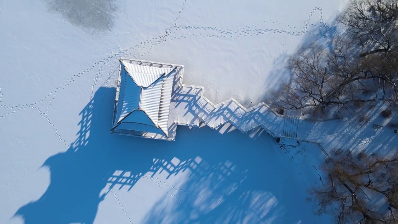 齐齐哈尔市龙沙公园碧云阁雪景鸟瞰视频素材