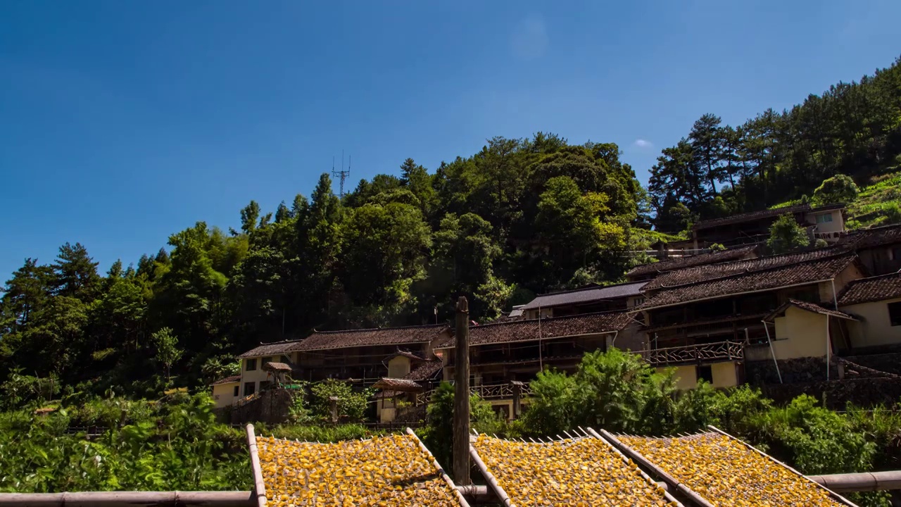 畲族山村秋晒视频素材