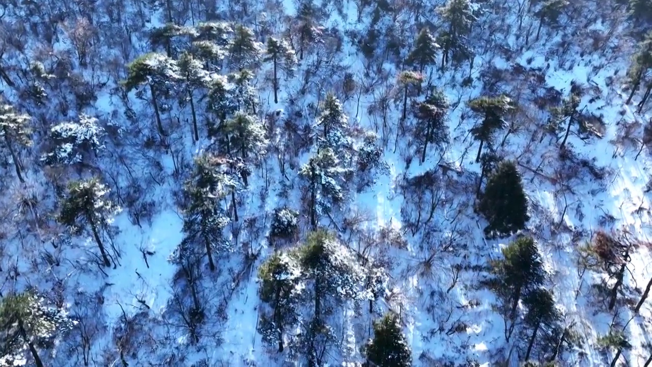 航拍冬天江西庐山雪景视频素材