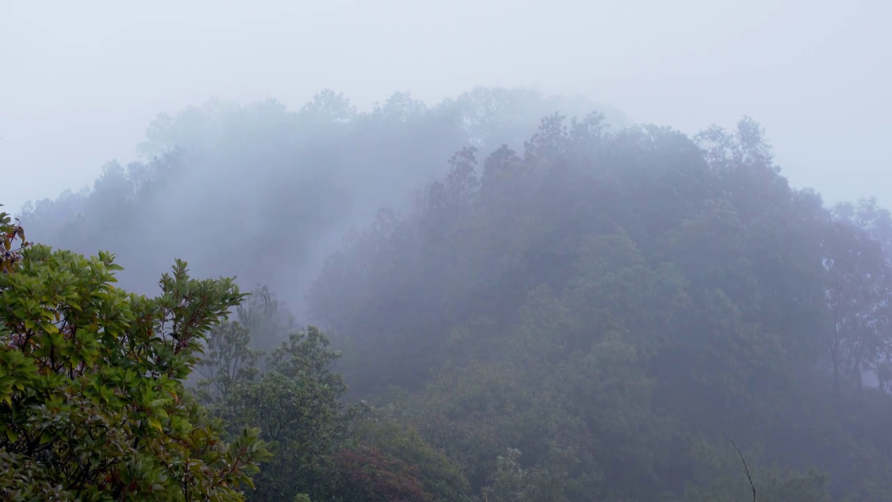 雨天山间雾气弥漫烟雨朦胧视频素材