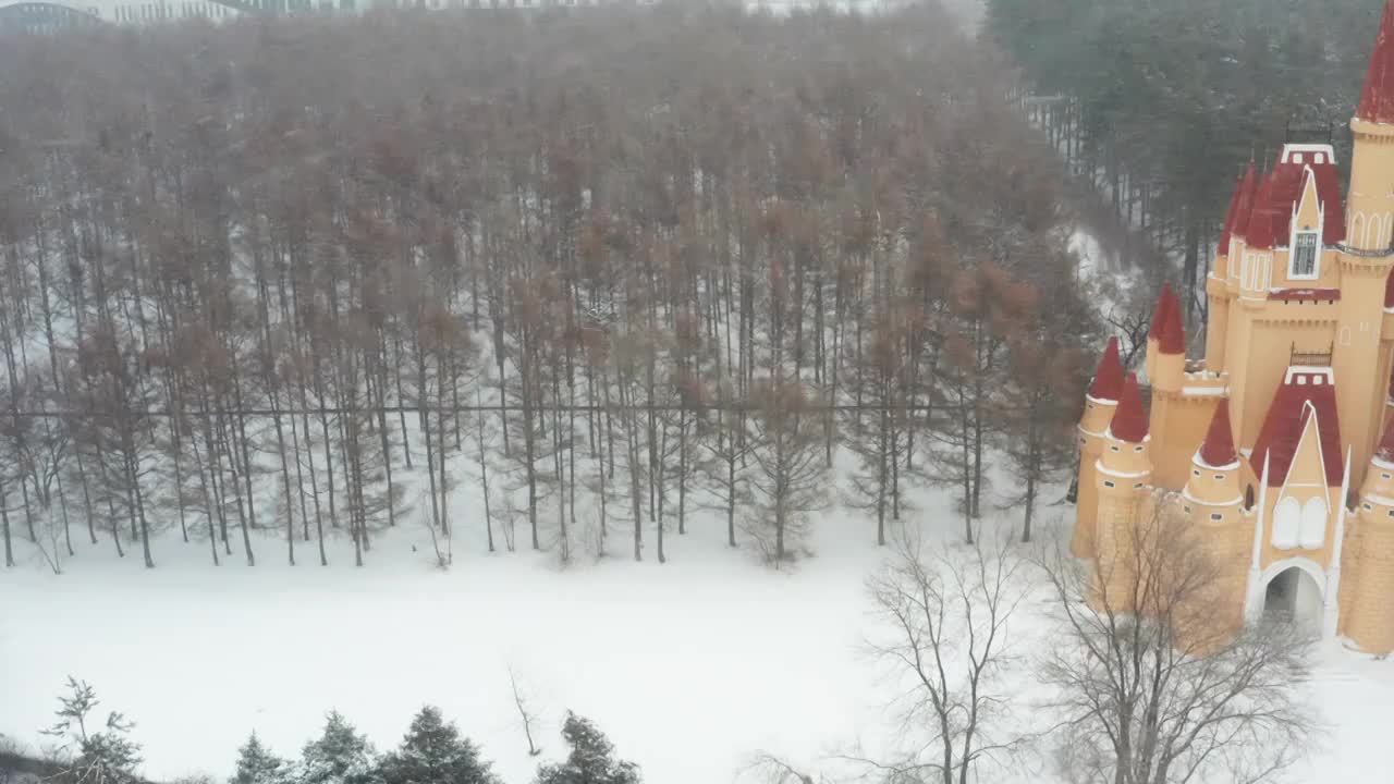 哈尔滨大雪纷飞雪景航拍视频素材