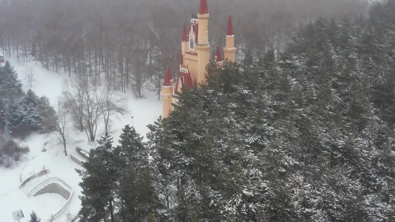 哈尔滨大雪纷飞雪景航拍视频素材