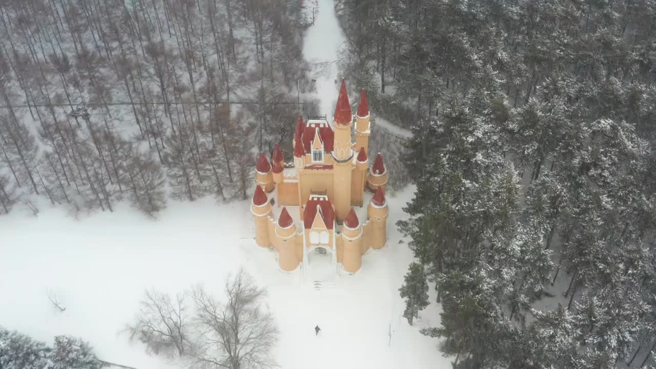 哈尔滨大雪纷飞雪景航拍视频素材