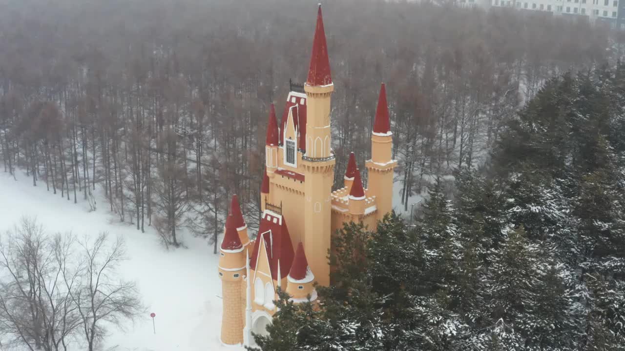 哈尔滨大雪纷飞雪景航拍视频素材