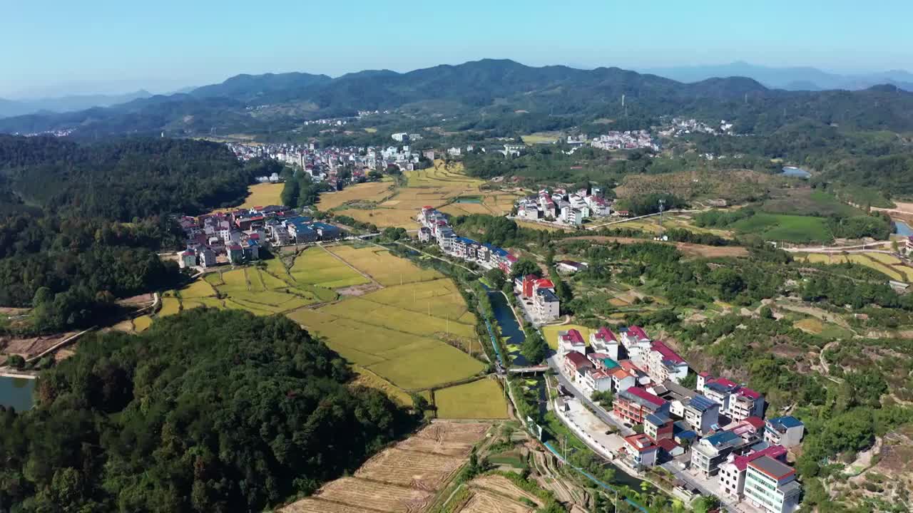 浙江义乌大陈金秋乡村稻田风光航拍视频素材