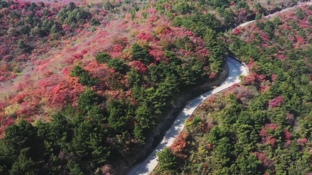 亚洲中国太行山焦作窄门峡谷秋天红叶景象航拍视频素材