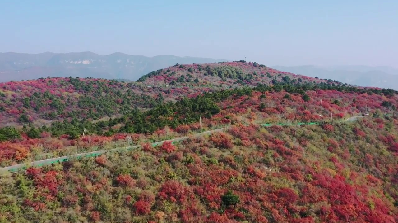 亚洲中国太行山焦作窄门峡谷秋天红叶景象航拍视频素材